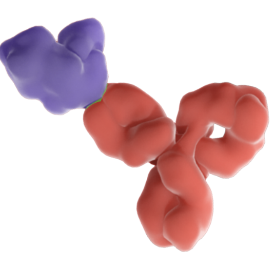 Mechanism of Action (MOA) | Repatha (evolocumab) HCP Mechanism of Action (MOA) | Repatha (evolocumab) HCP